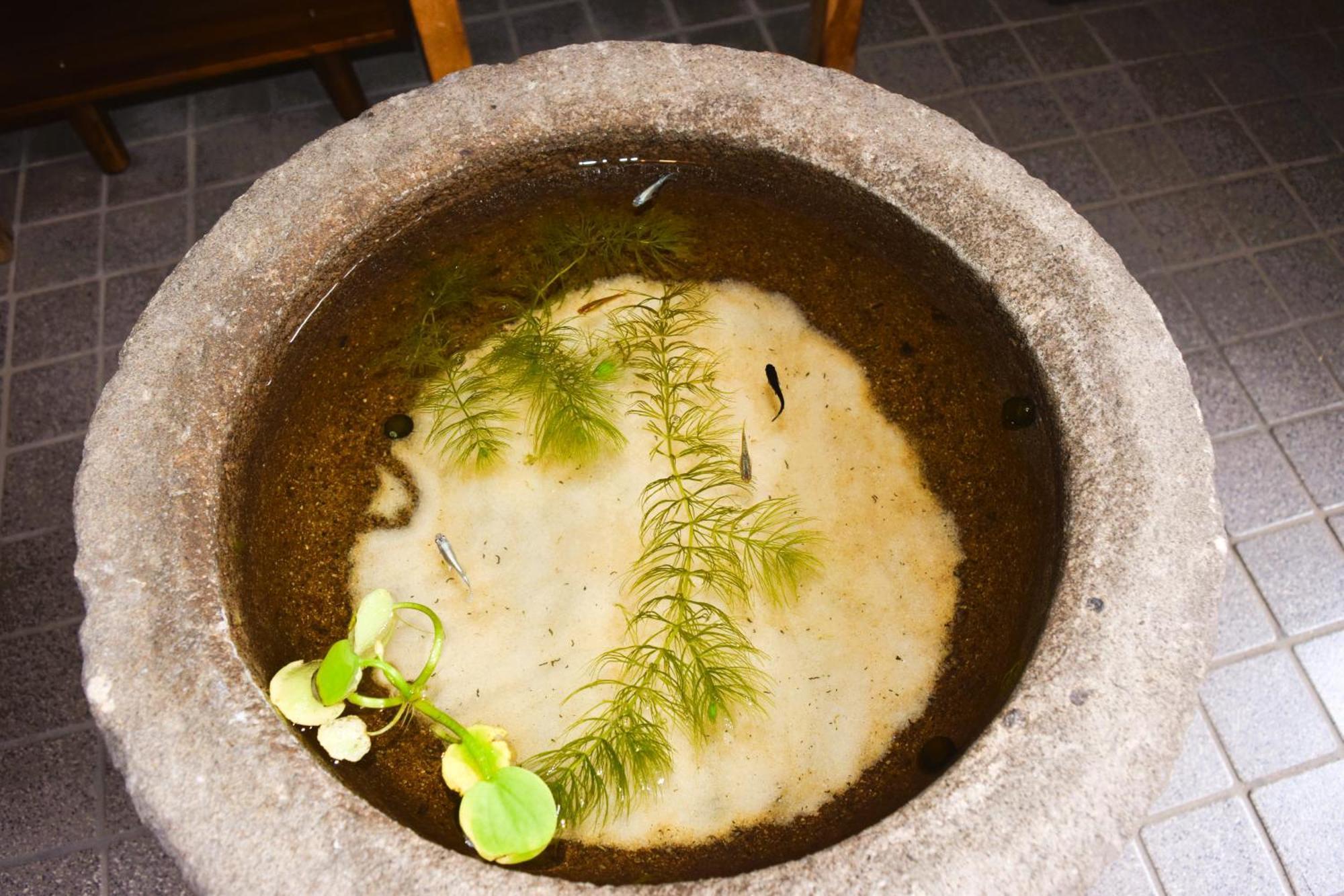 다카야마 Atagoya 빌라 외부 사진